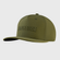 CAP1341A-DC